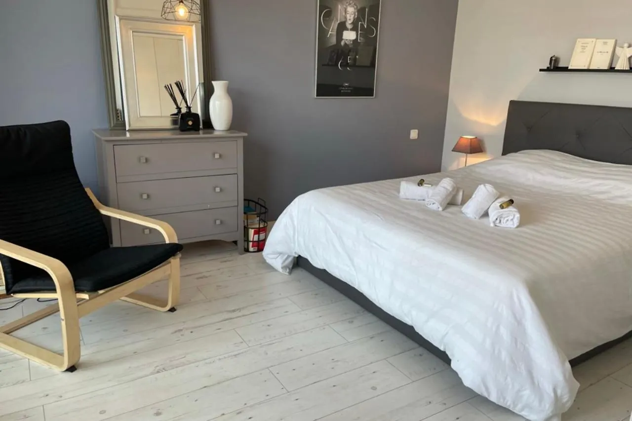 Design And Spacious One Bedroom Apartment On Place De Gaulle Antibes